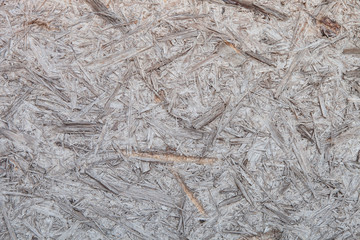 Abstract wooden texture