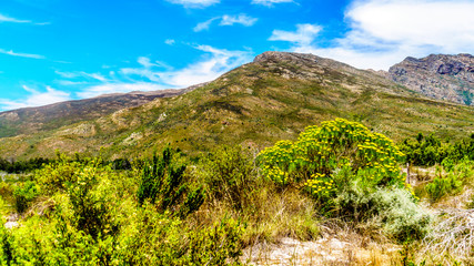 View of the Slanghoekberge Mountains from the scenic Bainskloof Pass between the towns Ceres and...