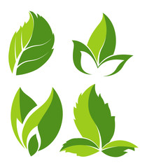 Fototapeta na wymiar Green natural leaves as logo for eco company