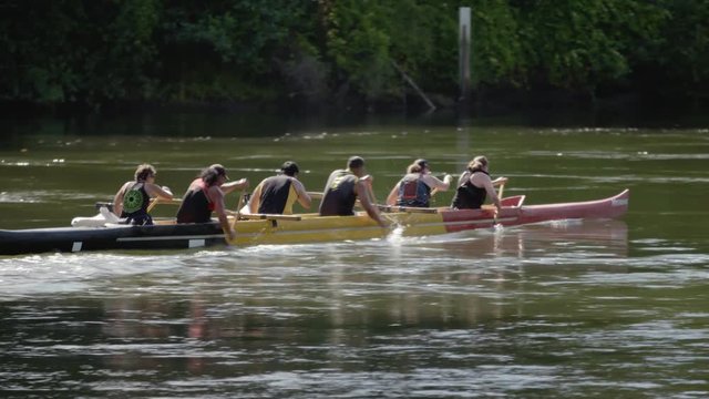 Adults rowing down a murky river on a sunny day.