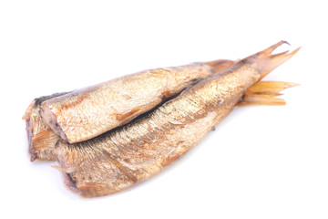 Sprats on white background