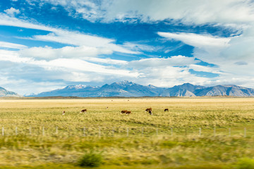 Fototapeta na wymiar Vast plains on a partially cloudy day in Patagonia, Argentina. Motion blur applied