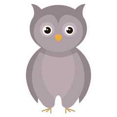 cute and tender owl