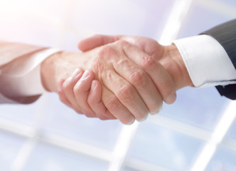 Diverse business male shaking hands.