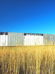 枯れた葭とフェンスと青空