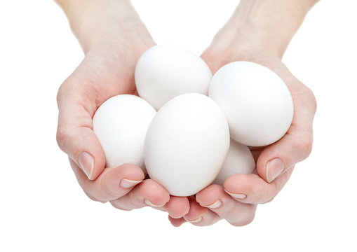 Female's hands holding eggs. Isolated on white.