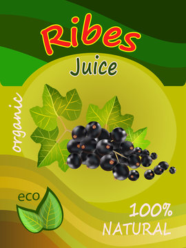Vector illustration of a juice of a black currant packaging design. Realistic vector.