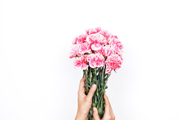 Woman hand hold pink carnation on white background. Flat lay, top view minimal festive spring flower background.