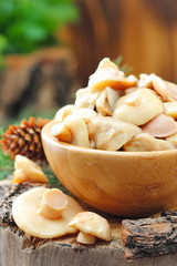 Pickled mushrooms in a wooden bowl