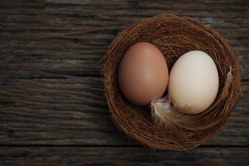 Egg is beneficial to the body