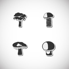 Mushrooms set of icons with shadow. Vector illustration