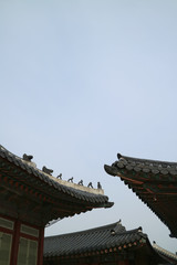 Fototapeta premium Korean traditional background,old palace