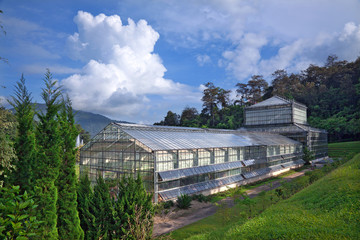 Fototapeta premium Greenhouses for growing plants, with a backdrop of sky and clouds.