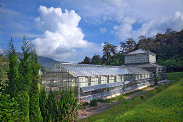 Fototapeta na wymiar Greenhouses for growing plants, with a backdrop of sky and clouds.