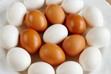 fresh white and brown eggs on a white plate