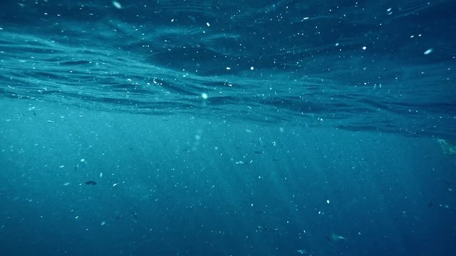 Waving sea water surface underwater view