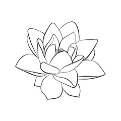 lotus flowers icon