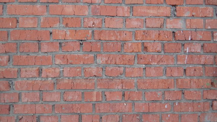 The texture of the brick wall.