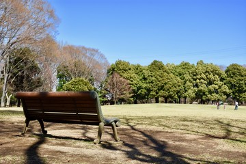 Obraz premium 公園のベンチ