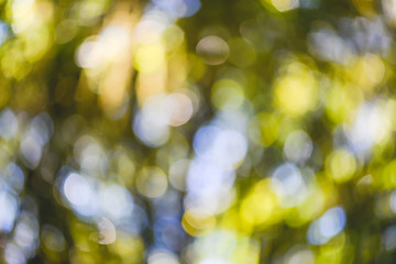 background blur natural and light background in the park.