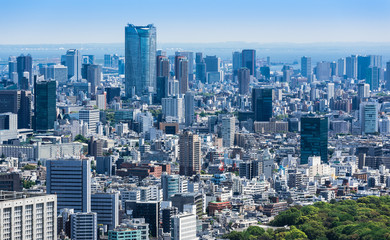 Fototapeta na wymiar 東京都庁から眺める都心部の町並み