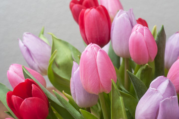 closeup of colorful bouquet of tulips in  vase