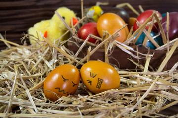 Colorful Easter eggs on wooden background. Easter eggs