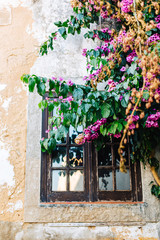 Fototapeta na wymiar Old stone wall exterior with wooden window and bougainvillea flowers. Portugal, Obidos.