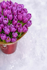 Purple tulips in bucket on gray background