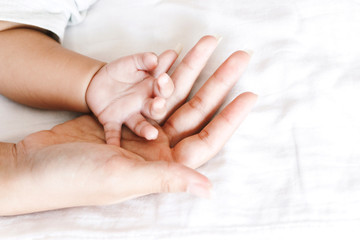 Fototapeta na wymiar Baby hand in hand mother