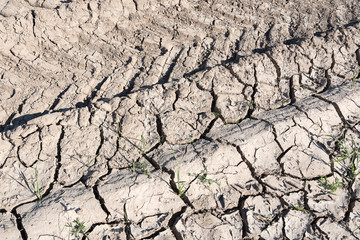 Dry and cracked clay soil.