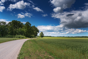 Fototapeta na wymiar Gravel road in countryside, Latvia.
