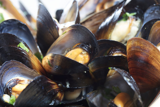 Black mussels on plate with green
