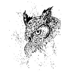 owl, isolated vector illustration