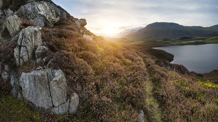 Beautiful vibrant sunrise landscape over Cregennen Lakes with Cadair Idris in background in Snowdonia