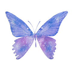 watercolor blue butterfly
