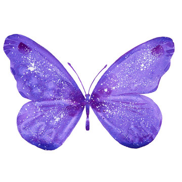  Watercolor Purple  Butterfly