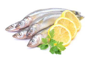 Smelt fish