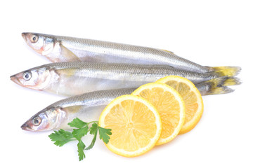 Smelt fish