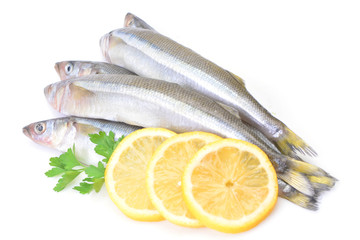 Smelt fish