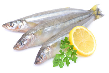 Smelt fish