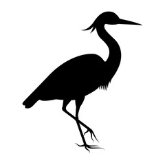 Vector image of the silhouette of the birds of the heron