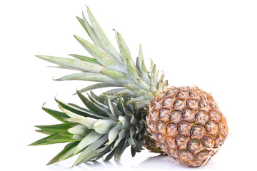 Obraz premium Pineapple fruit