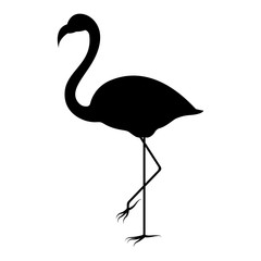 Vector image of a silhouette of a flamingo bird standing on one leg