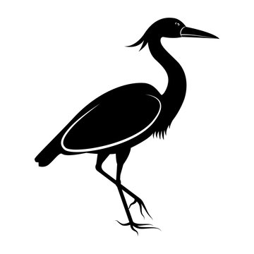 Vector image of the silhouette of the birds of the heron