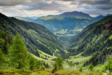 U-shaped valley with lush green forests and meadows in Karnische Alpen with Eggenkofel peak of Gailtaler Alpen Lienzer Dolomiten in cloudy morning, Untertilliach Lesachtal Osttirol Austria Europe