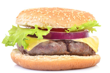 Fresh American hamburger