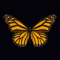 Embroidered butterfly for fashion design.