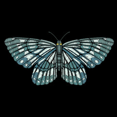 Embroidered butterfly for fashion design.