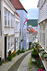 White houses of wood